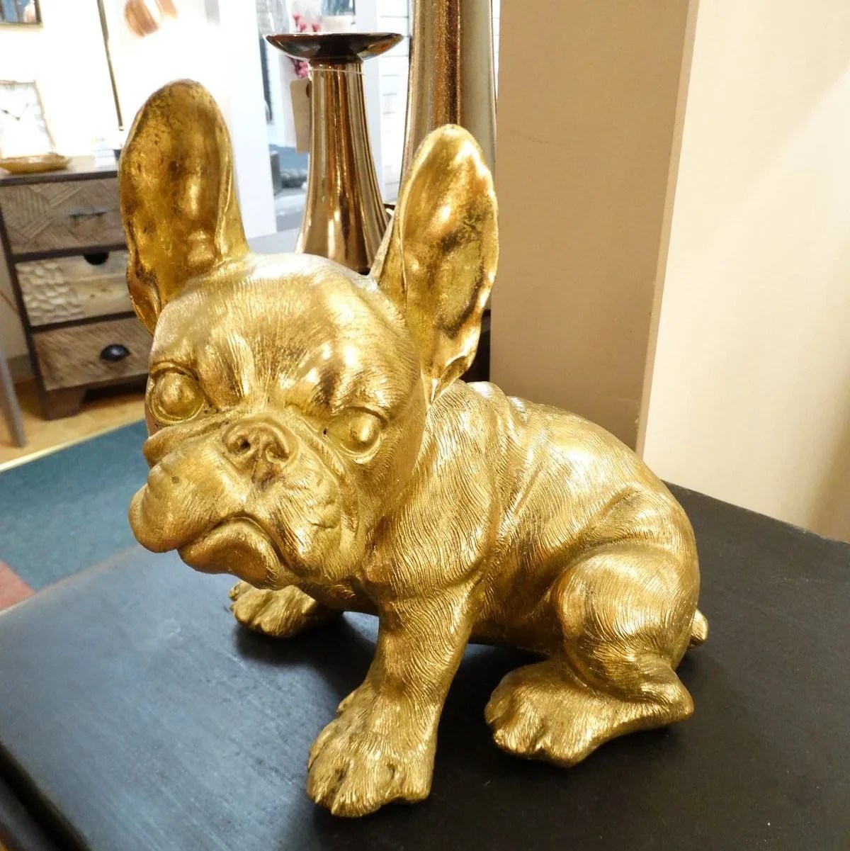 French Bulldogs are expensive but are they worth their weight in gold? I would say yes.