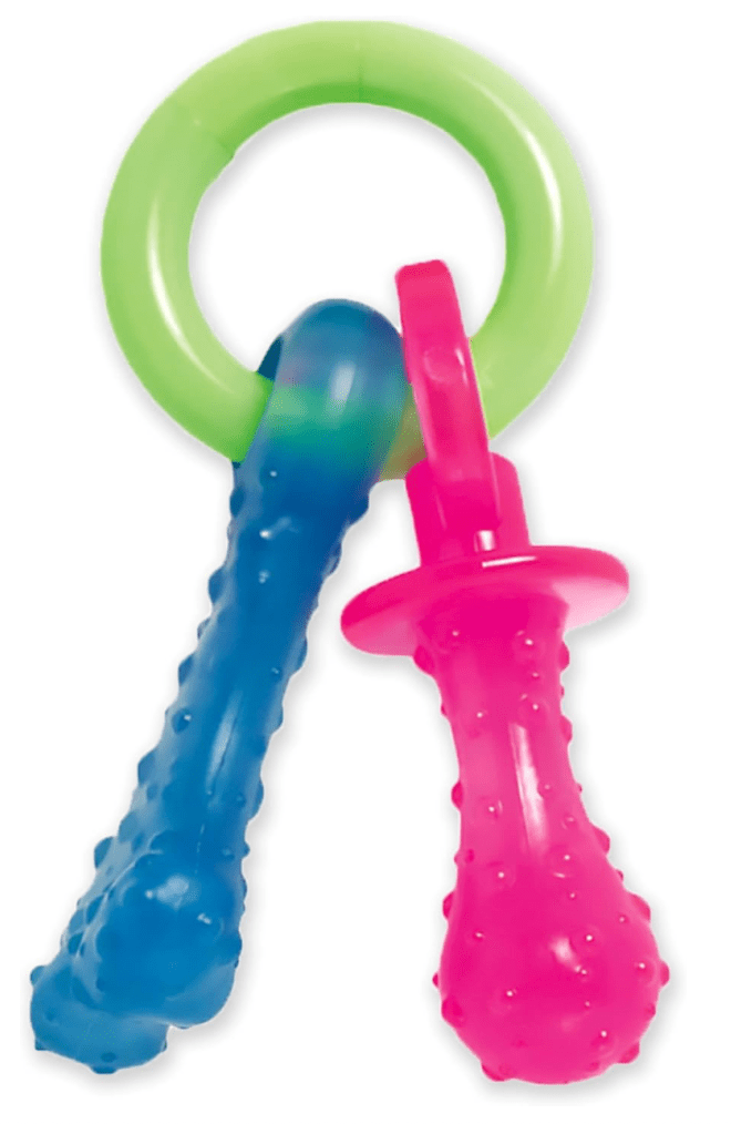 Nylabone Puppy Pacifier Teething Toy