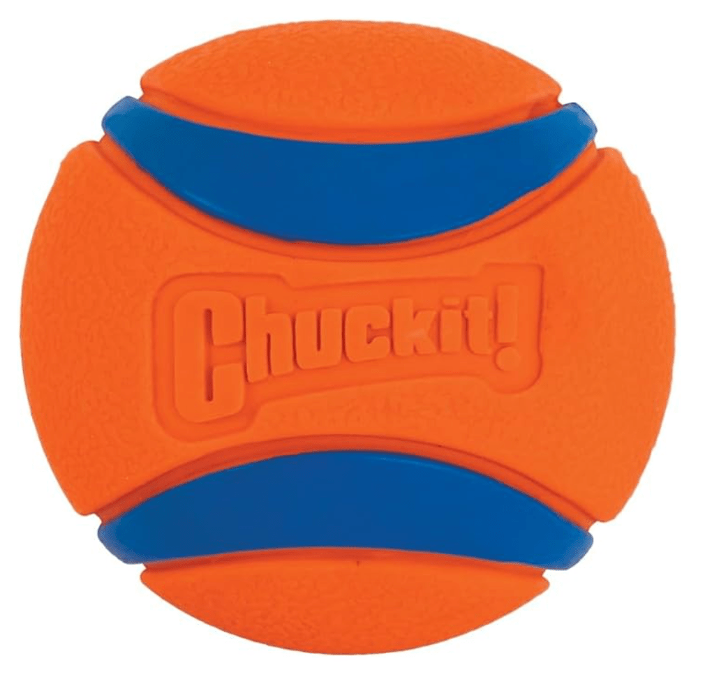4. Chuckit! Ultra Rubber Ball (Small)
